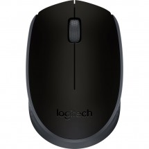 Компьютерная мышь Logitech M171 Black (910-004424)