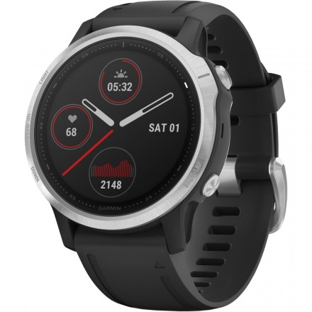 Смарт-часы Garmin Fenix 6S Silver (010-02159-01)